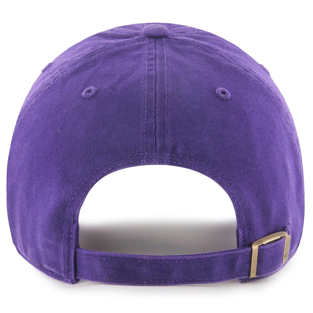 Minnesota Vikings 47 purple minnesota vikings 2022 nfc north division champions clean up adjustable hat Collection | Vikings Online Shop