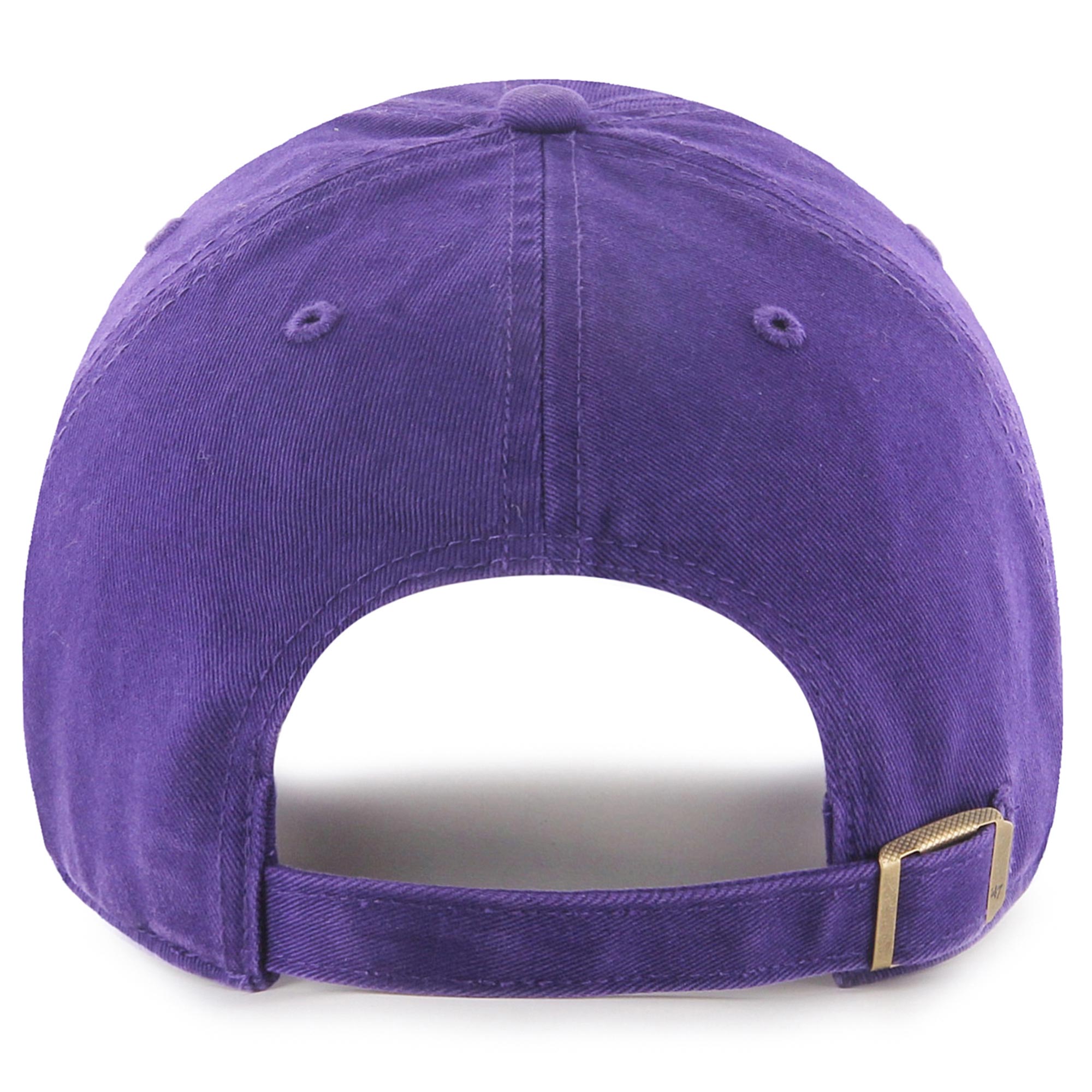 Minnesota Vikings 47 purple minnesota vikings 2022 nfc north division champions clean up adjustable hat Collection | Vikings Online Shop